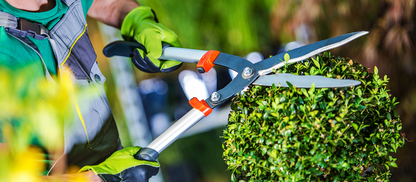 IJN62 entreprise entretien espaces verts Béthune Nord Pas de Calais